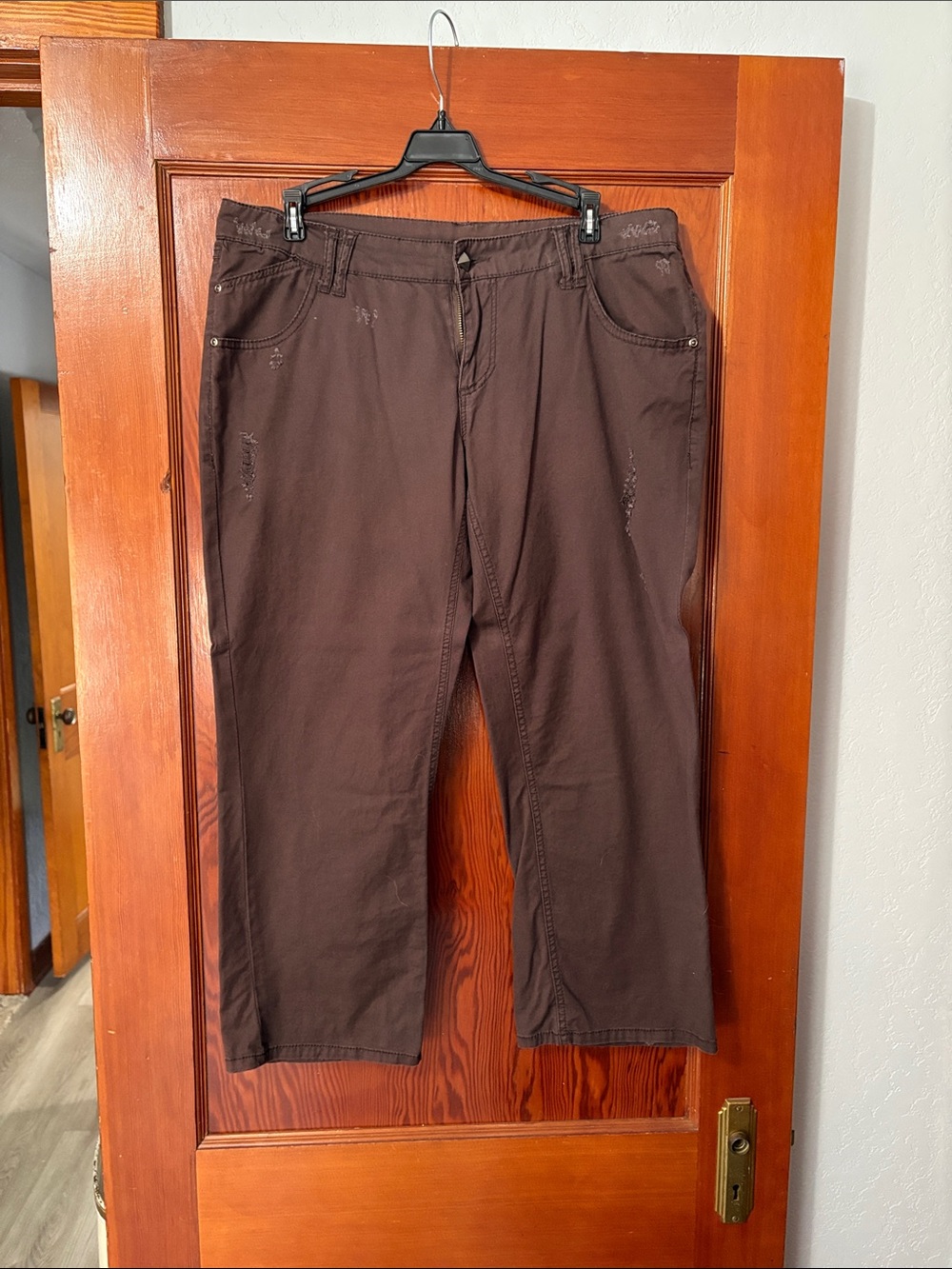 Vanity Brown Capris Pants